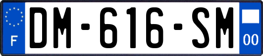 DM-616-SM