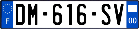 DM-616-SV