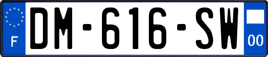 DM-616-SW