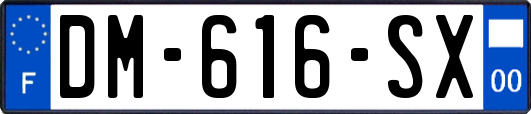 DM-616-SX
