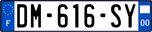 DM-616-SY