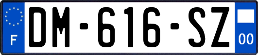 DM-616-SZ