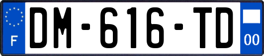 DM-616-TD