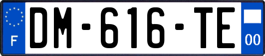 DM-616-TE