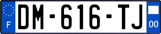 DM-616-TJ