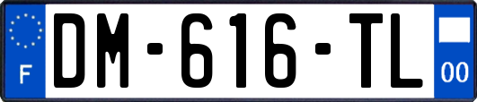 DM-616-TL