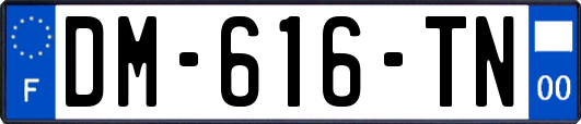 DM-616-TN