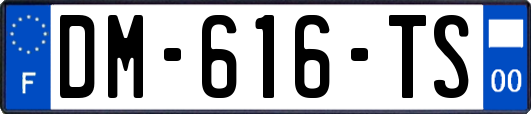 DM-616-TS