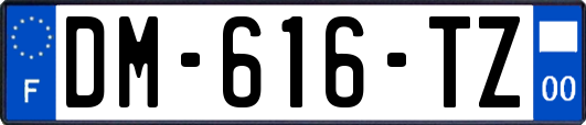 DM-616-TZ