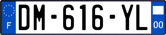 DM-616-YL