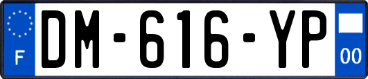 DM-616-YP