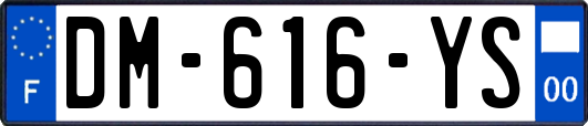 DM-616-YS