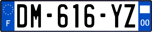 DM-616-YZ