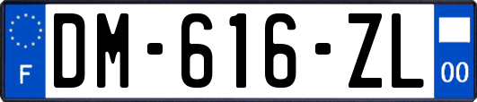 DM-616-ZL