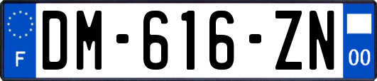 DM-616-ZN