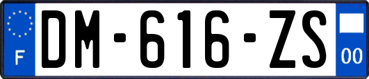 DM-616-ZS