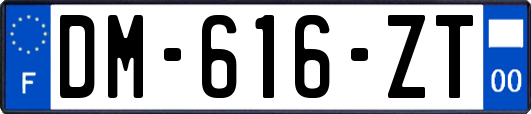 DM-616-ZT