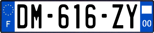 DM-616-ZY