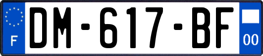 DM-617-BF