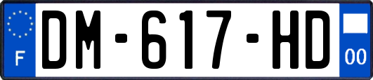 DM-617-HD