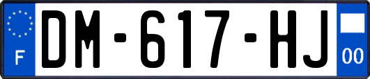 DM-617-HJ