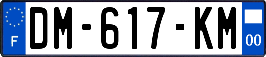 DM-617-KM