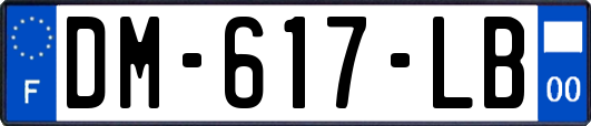 DM-617-LB