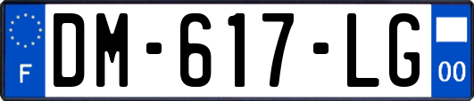 DM-617-LG
