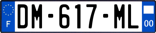 DM-617-ML