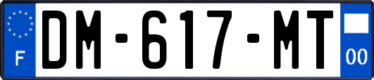 DM-617-MT