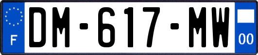 DM-617-MW