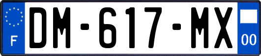 DM-617-MX