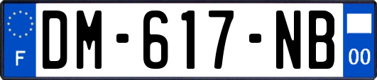 DM-617-NB