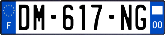 DM-617-NG