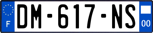 DM-617-NS