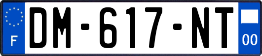 DM-617-NT