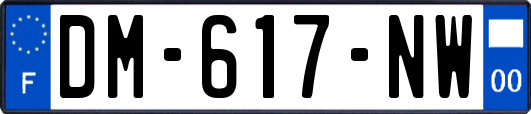 DM-617-NW