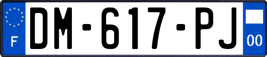 DM-617-PJ