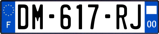 DM-617-RJ