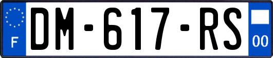 DM-617-RS