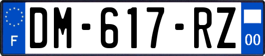 DM-617-RZ