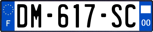 DM-617-SC