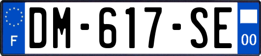 DM-617-SE