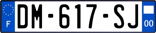 DM-617-SJ