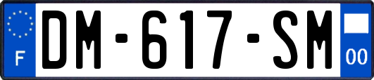 DM-617-SM