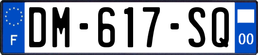 DM-617-SQ