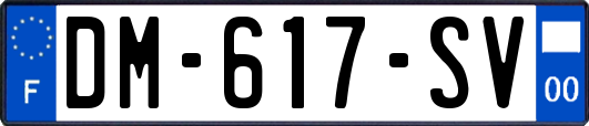 DM-617-SV