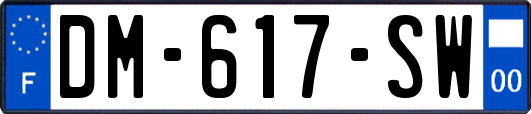 DM-617-SW