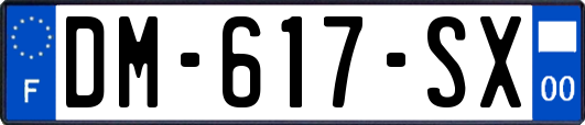 DM-617-SX