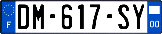 DM-617-SY